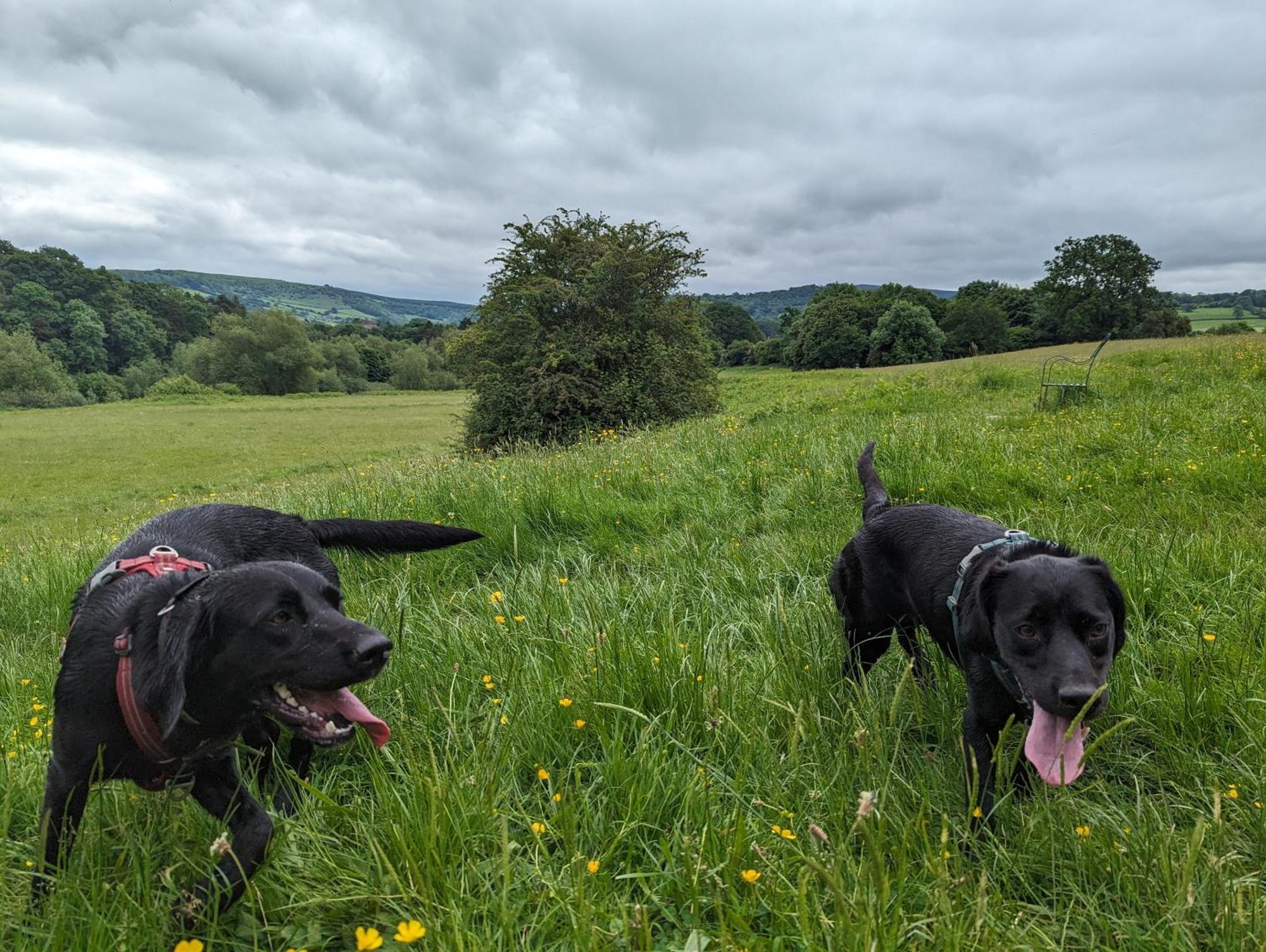 The Agents House, Bed & Breakfast Whitney-on-Wye Bagian luar foto